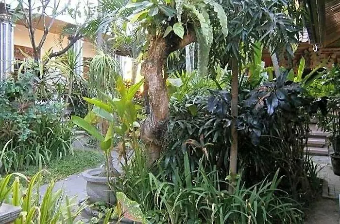 Gasthof Adus Legian